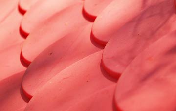 Bishops Wood plastic roof costs